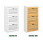 12 Pair Shoe Storage Cabinet