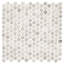 Muse 1" Glass Penny Round Mosaic Wall & Floor Tile-80149439