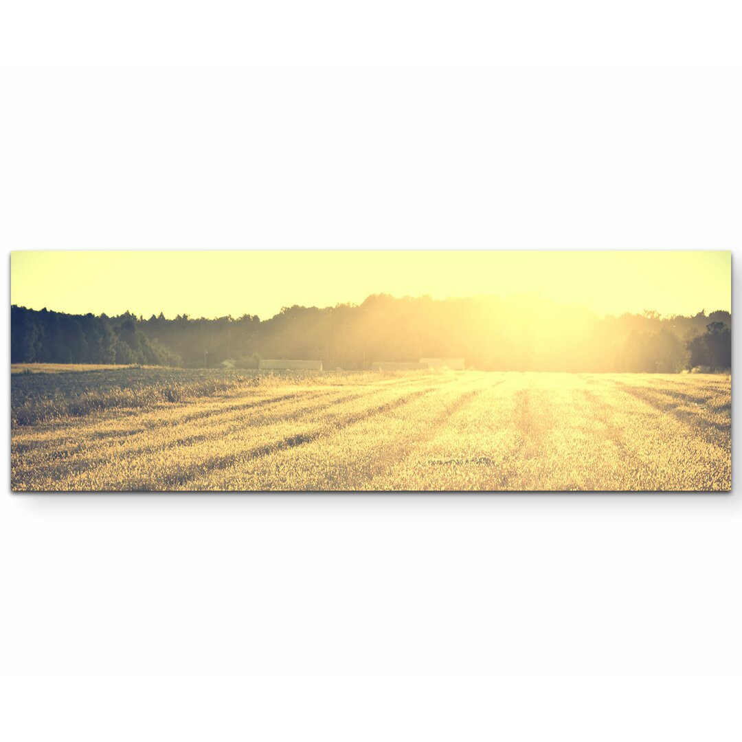 Leinwandbild Herbstliche Wiese in der Abendsonne