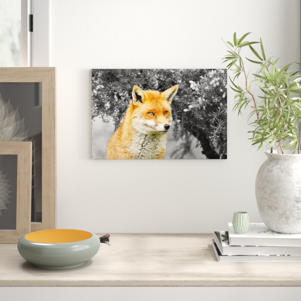 Leinwandbild ,,Stolzer Fuchs im Geäst" von chris sweet 85, Fotodruck