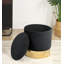 Adriaens 39cm Wide Velvet Tufted Circle Pouf Ottoman with Storage