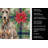 Fawn Doberman Pinscher Christmas PoinsettIas Kitchen Towel-2080584012