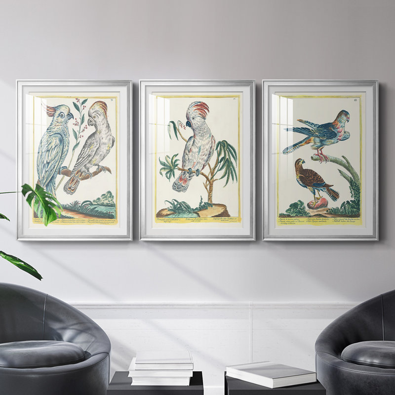 «Pastel Birds I», reproduction encadrée de qualité supérieure - prête à être accrochée, H 24,5 po x l 37 po x P 2,5 po