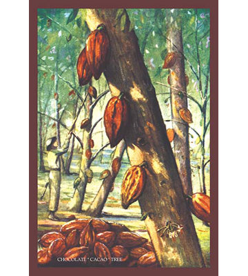 Chocolate "Cacao" Tree Painting Print