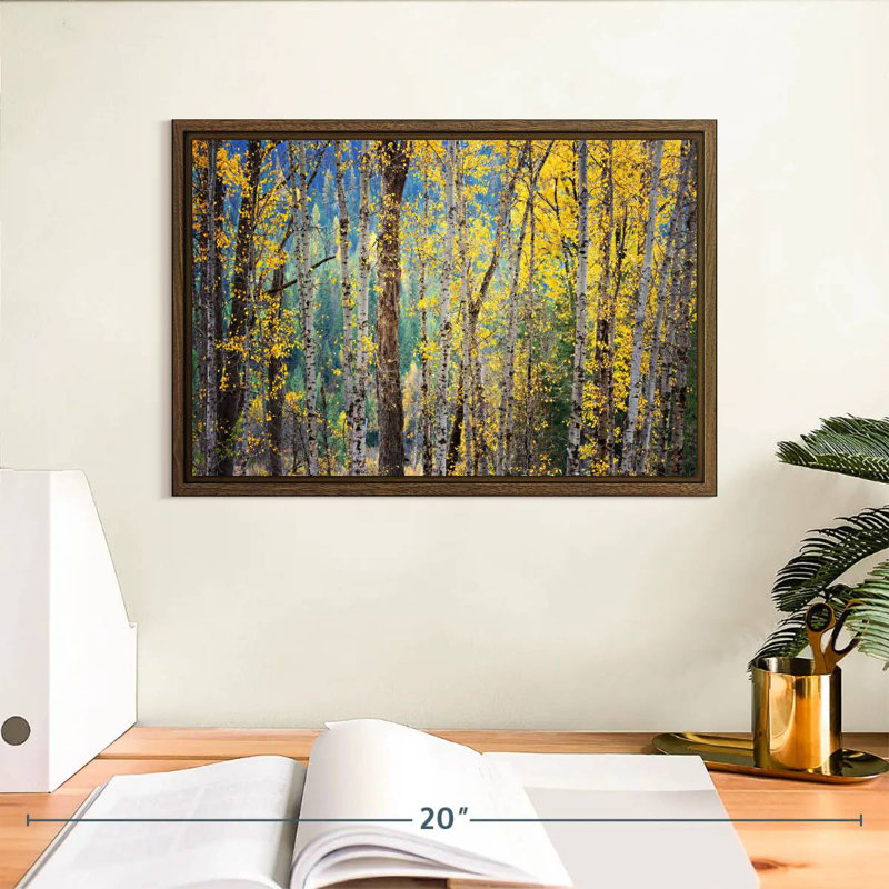 Kootenay Fall II, 13 po x 9 po, Cadre flottant en noyer