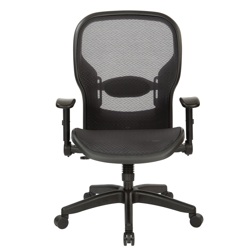 Black Mesh Executive Office Chair with Adjustable Arms