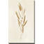 Botanical Study I Gold Crop - Peinture-195985684-195985775