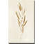 Botanical Study I Gold Crop - Peinture-195985775-195985684