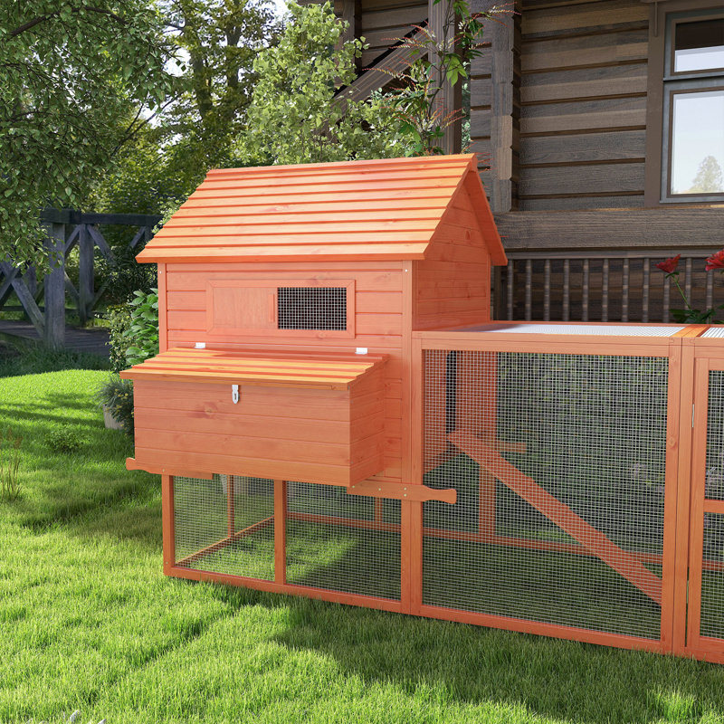 Poulailler Tucker Murphy Pet ™ de 145 po avec espace intérieur et poule, bois