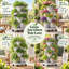 Plastic Indoor / Outdoor Vertical Garden