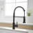Pull Down Kitchen Faucet-125337695