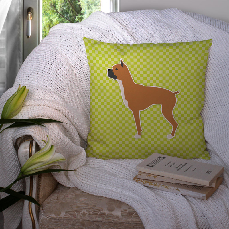 Coussin décoratif intérieur/extérieur boxer, H 14 po x l 14 po x P 3 po, Vert