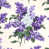 Purple selected