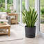 Suvanna Pot Planter Concrete Effect Recycled Plastic Outdoor Planter-119308119-119308122