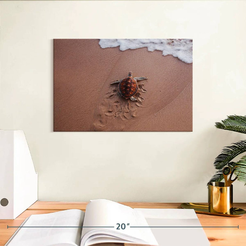 Brampt Turtle Footprints, 8" H x 12" W