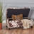 Storage Ottoman Bench