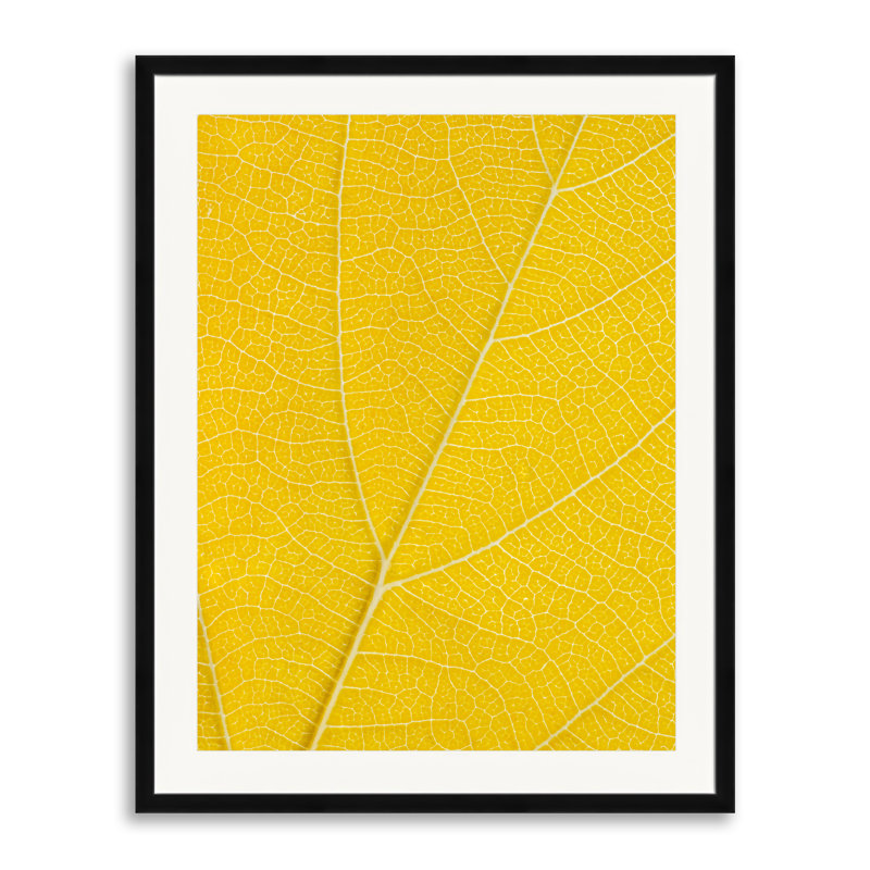Autumn Leaf Print by Philippe Monthoux, Black Framed Paper, 30" H x 24" W