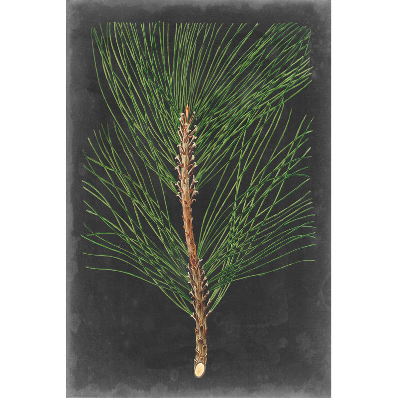 «Dramatic Pine I», peinture sur toile, H 36 po x l 24 po, Non, Toile encadrée noire