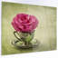 «Red Rose in Cup and Saucer», impression-35105631-35105640