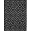 Tapis gris anthracite intérieur / extérieur 5 pi x 7 pi