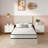 Scheinman FDW Firm Memory Foam Mattress-535558707-535558704