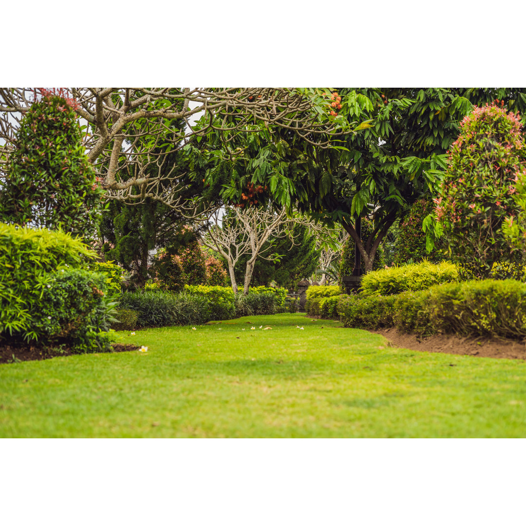 Leinwandbild Traditional Balinese Park, Green Garden. Bali, Indonesia