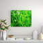 Macro Grass II Print by Chelsea Art Studio-26773483-26773484