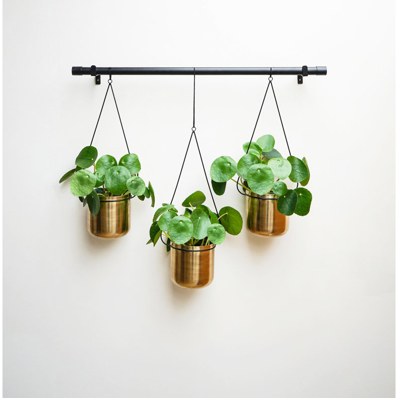 Metal Hanging Planter