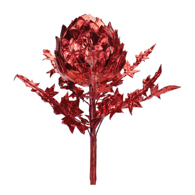 Tige d'artichaut, Rouge