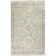 Wensley Oriental Flatweave Green/Khaki Area Rug