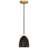 Oakton 1 Light Pendant