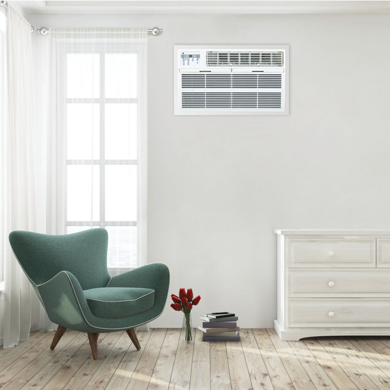 Arctic Wind 10,000 BTU White Through-the-Wall Air Conditioner with Remote Control
