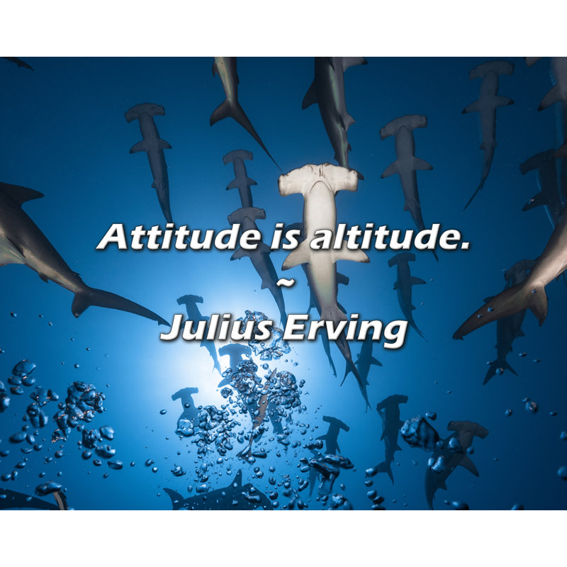 Julius Erving Quote: Attitude is altitude.