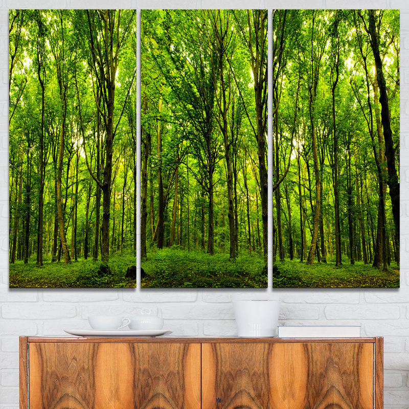 Forêt verte - ensemble de 3 reproductions de photos sur toiles tendues