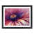 Black Framed selected