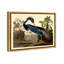 Louisiane héron - Impression sur toile-63582451-63582452-119891342