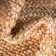 Meador Hand Braided Chindi Rugs