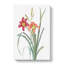Pink Day Lilies by Pierre-Joseph Redoute - Wrapped Canvas-55325461