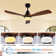 Ceiling Fans With Lights