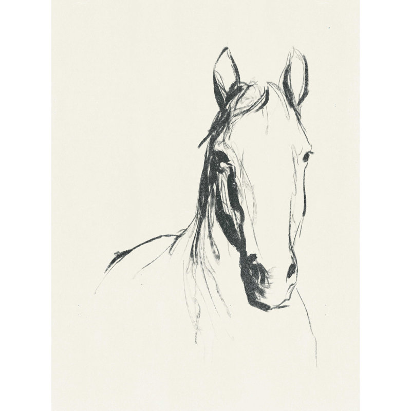 Fond crème et cheval esquissé, H 16 po x l 12 po
