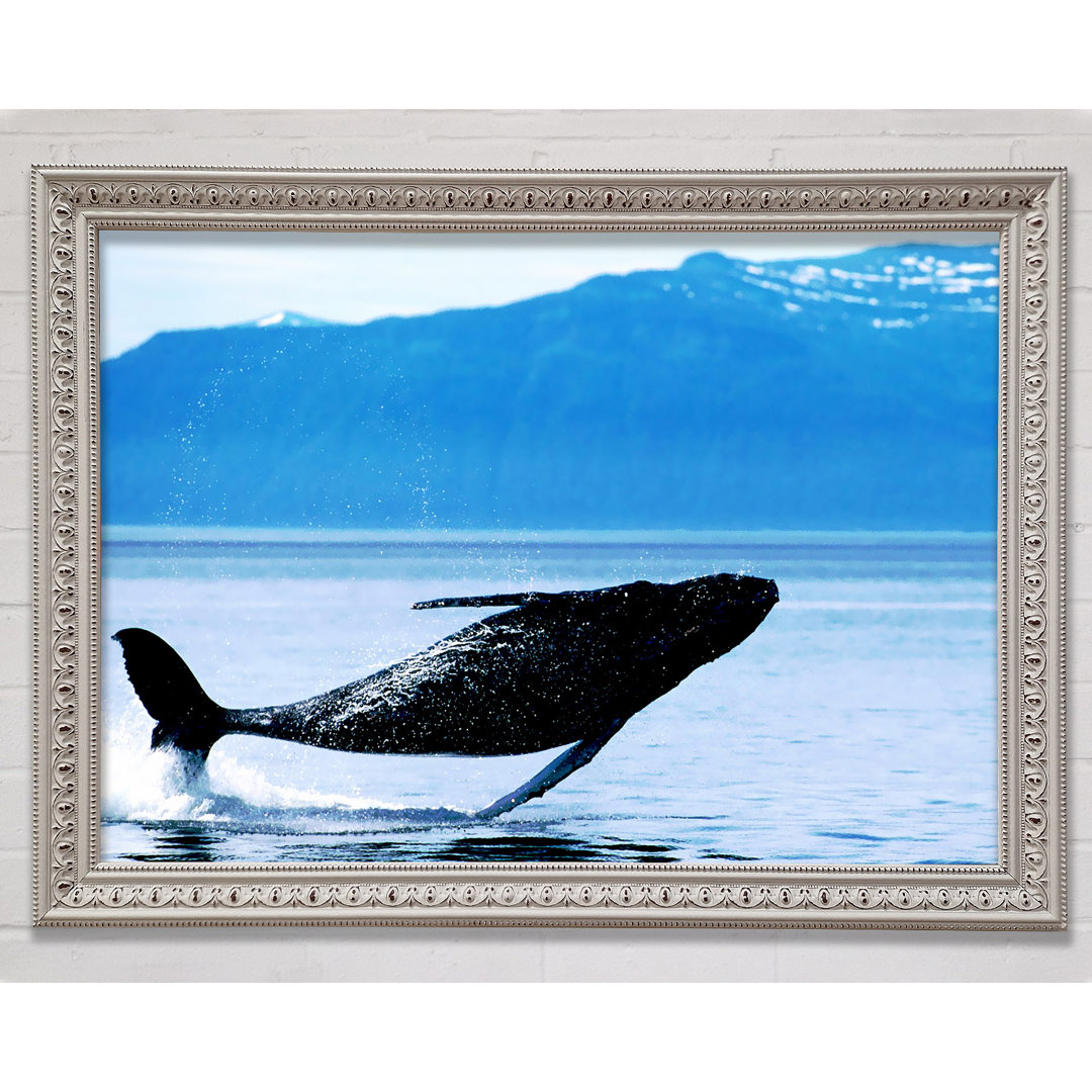 Whale Of A Time - Einzelner Bilderrahmen Kunstdrucke