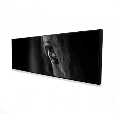 «Black Horse», photographie sur toile monochrome encadrée - Décoration intérieure
