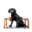 Georgette Armchair