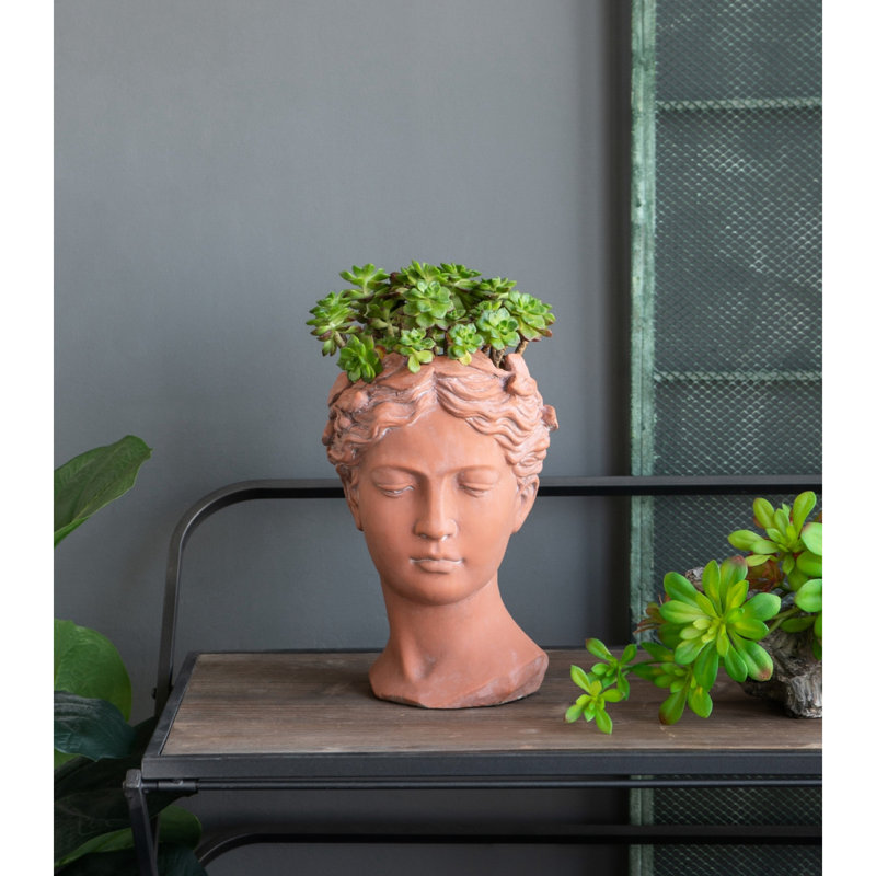 D7x11" Head Bust Cement Planter, Brown - Transform Your Garden & Outdoor Space Add Beauty To Home, Brown