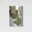 «Ginko Color On White» par Debra Van Swearingen-1797382373