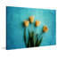 Yellow Tulips by Sylvia Cook - Wrapped Canvas Print-684670048