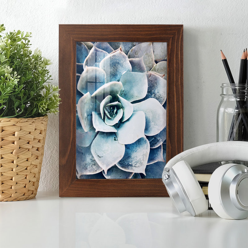 Pastel Succulent Beauty III, encadré sur papier, H 7 po x l 5 po x P 1 po, Châtaigne