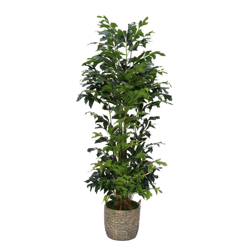 82'' Faux Palm Tree in Wicker/Rattan Basket, Grey