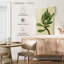 Plante grasse Harnek-108257230