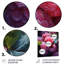 Lustrous Raspberry Radiance I - fruits, art mural en métal-69521954